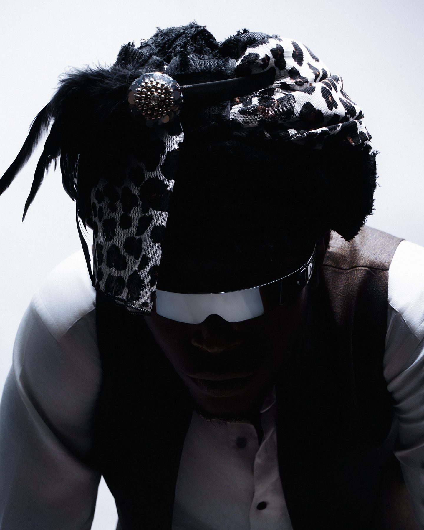 Plumage — work 2 of 4
